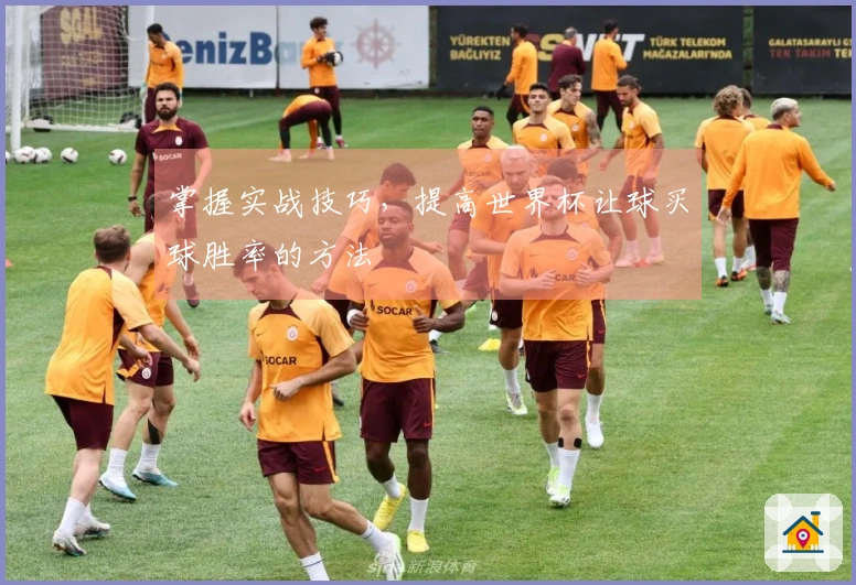 掌握实战技巧，提高世界杯让球买球胜率的方法