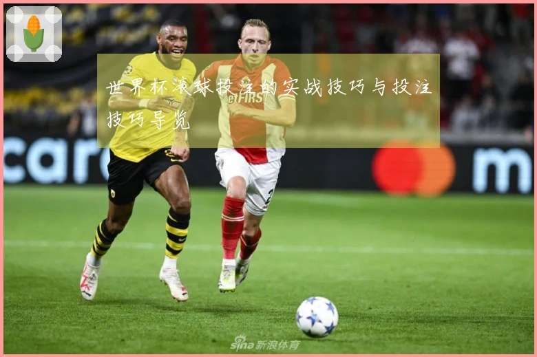 世界杯滚球投注的实战技巧与投注技巧导览