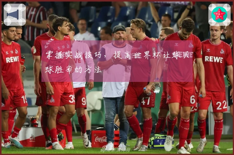掌握实战技巧，提高世界杯让球买球胜率的方法