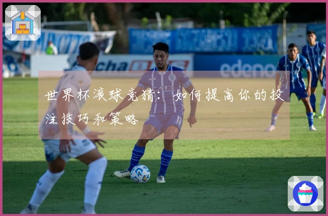 世界杯滚球竞猜：如何提高你的投注技巧和策略