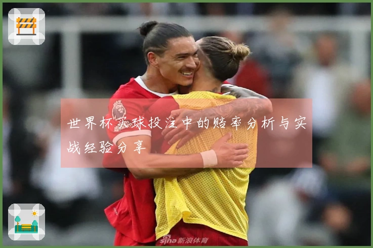 世界杯买球投注中的赔率分析与实战经验分享