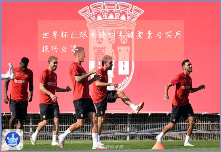 世界杯让球竞猜的关键要素与实用技巧分享