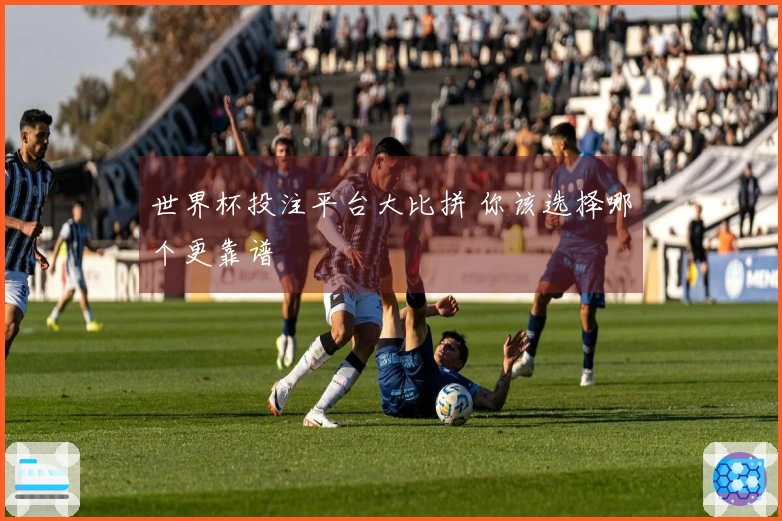 世界杯投注平台大比拼 你该选择哪个更靠谱
