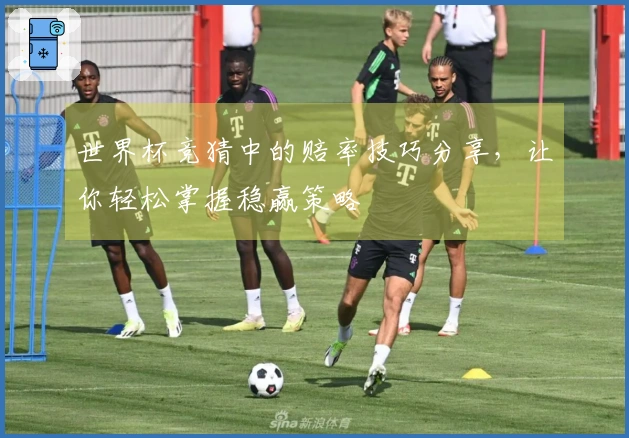 世界杯竞猜中的赔率技巧分享，让你轻松掌握稳赢策略