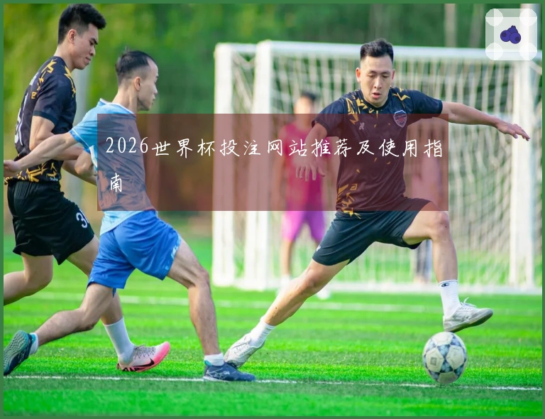 2026世界杯投注网站推荐及使用指南