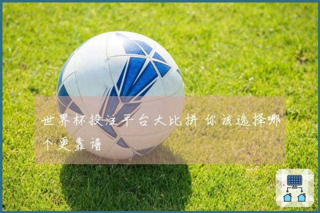 世界杯投注平台大比拼 你该选择哪个更靠谱