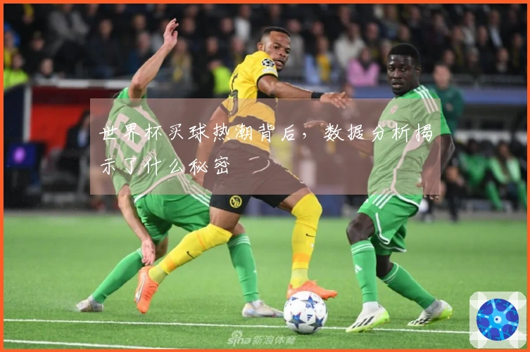世界杯买球热潮背后，数据分析揭示了什么秘密